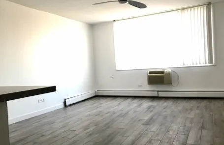 Studio Lincoln Park Apartment