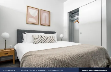 1 Bedroom South Loop Apartment