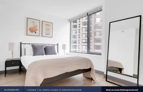 1 Bedroom Streeterville Apartment