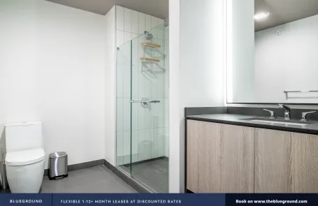 1 Bedroom South Loop Apartment