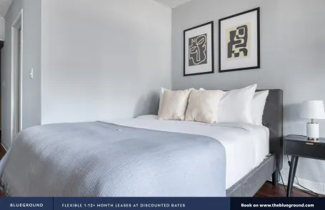 1 Bedroom Streeterville Apartment