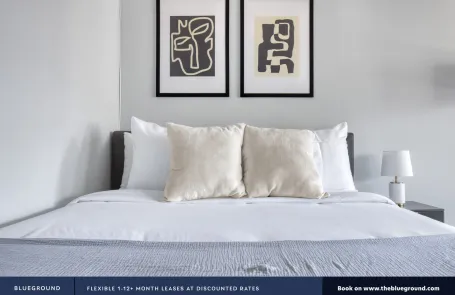 1 Bedroom Streeterville Apartment