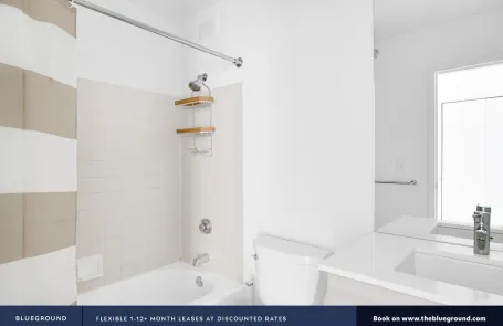 1 Bedroom Streeterville Apartment