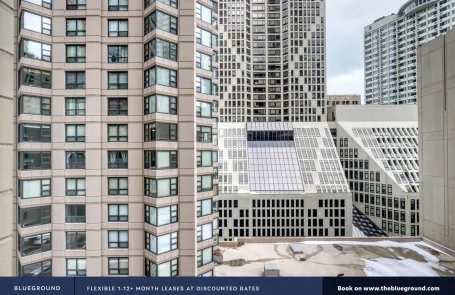 1 Bedroom Streeterville Apartment