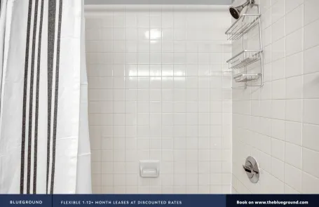 1 Bedroom Streeterville Apartment