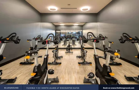 1 Bedroom South Loop Apartment