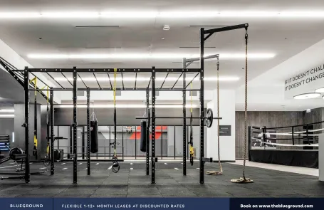 1 Bedroom South Loop Apartment