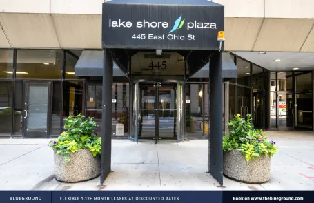 1 Bedroom Streeterville Apartment