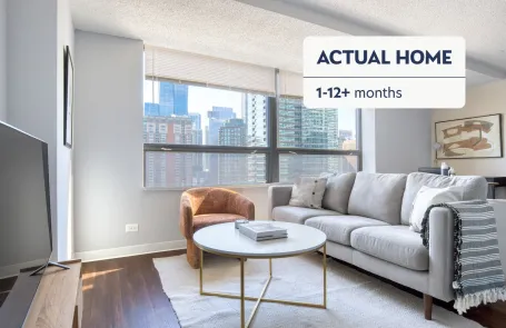 1 Bedroom Streeterville Apartment