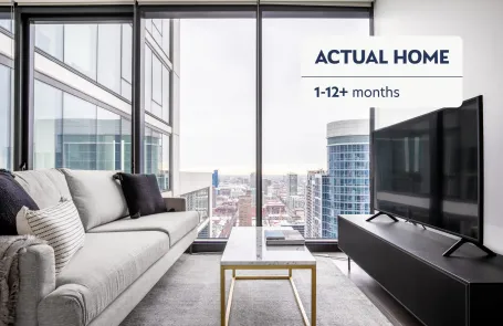 1 Bedroom South Loop Apartment