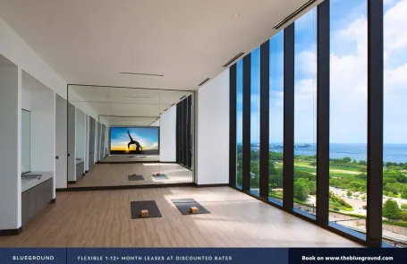 1 Bedroom South Loop Apartment