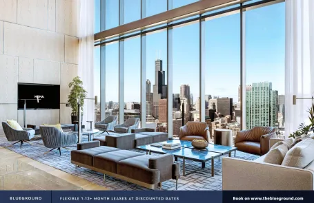 1 Bedroom South Loop Apartment