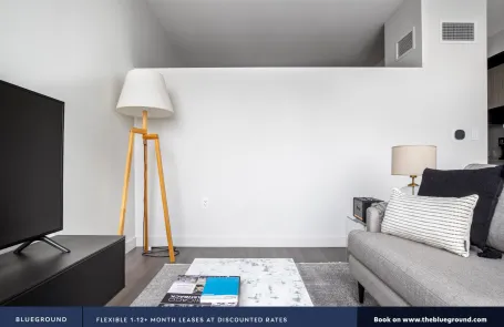 1 Bedroom South Loop Apartment