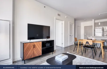 2 Bedroom West Loop Apartment
