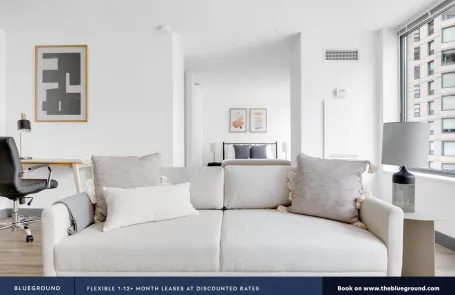 1 Bedroom Streeterville Apartment