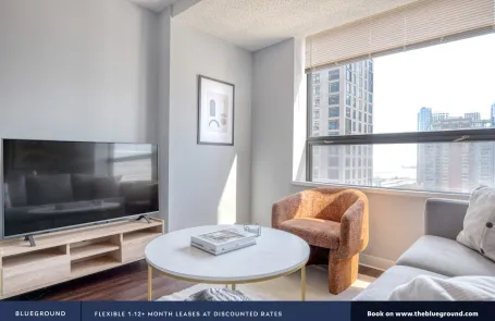1 Bedroom Streeterville Apartment
