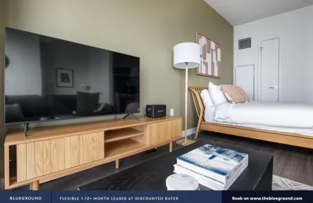 Studio South Loop Apartment