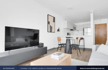 1 Bedroom Streeterville Apartment