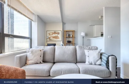 1 Bedroom Streeterville Apartment