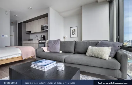 Studio South Loop Apartment