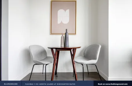 1 Bedroom South Loop Apartment