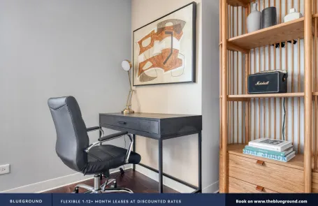 1 Bedroom Streeterville Apartment