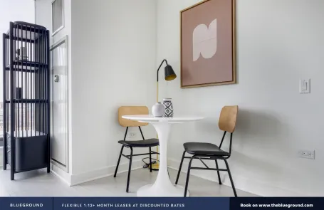 1 Bedroom West Loop Apartment