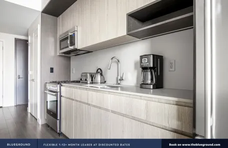 1 Bedroom South Loop Apartment