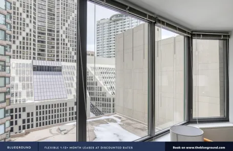 1 Bedroom Streeterville Apartment