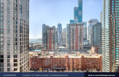 1 Bedroom Streeterville Apartment