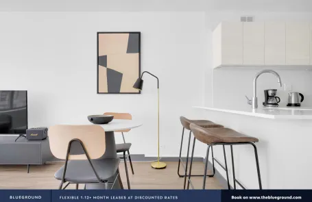 1 Bedroom Streeterville Apartment
