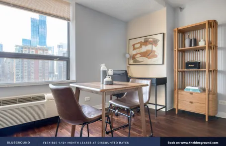 1 Bedroom Streeterville Apartment