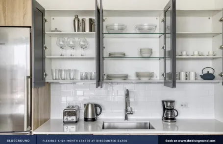 1 Bedroom West Loop Apartment