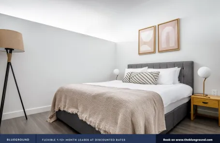 1 Bedroom South Loop Apartment