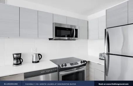 1 Bedroom Streeterville Apartment