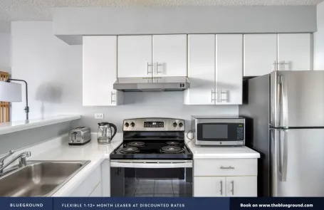 1 Bedroom Streeterville Apartment