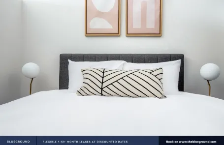 1 Bedroom South Loop Apartment