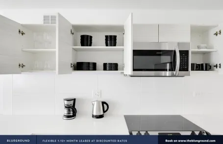 1 Bedroom Streeterville Apartment
