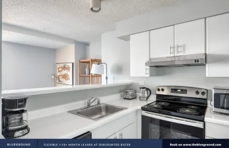 1 Bedroom Streeterville Apartment