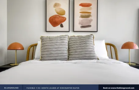 1 Bedroom South Loop Apartment