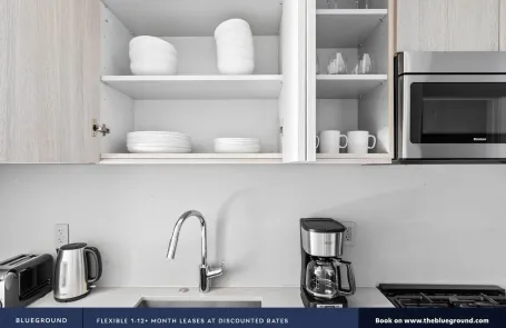 1 Bedroom South Loop Apartment