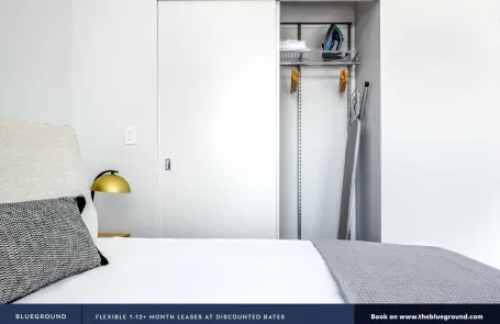 1 Bedroom South Loop Apartment
