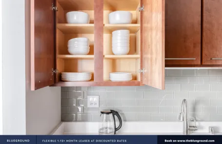 1 Bedroom Streeterville Apartment