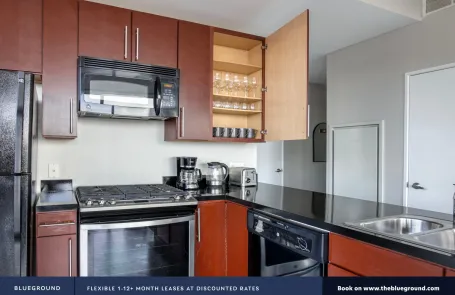 2 Bedroom South Loop Apartment