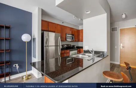1 Bedroom Chicago Loop Apartment