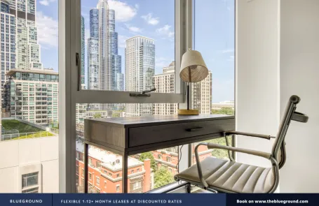 1 Bedroom South Loop Apartment