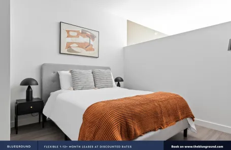 1 Bedroom South Loop Apartment