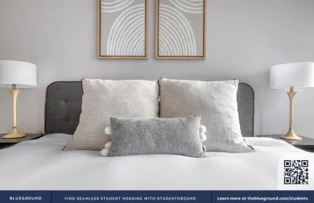 2 Bedroom Streeterville Apartment