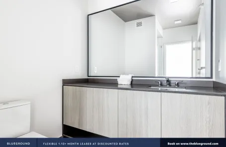 1 Bedroom South Loop Apartment