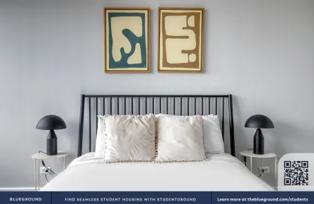1 Bedroom South Loop Apartment